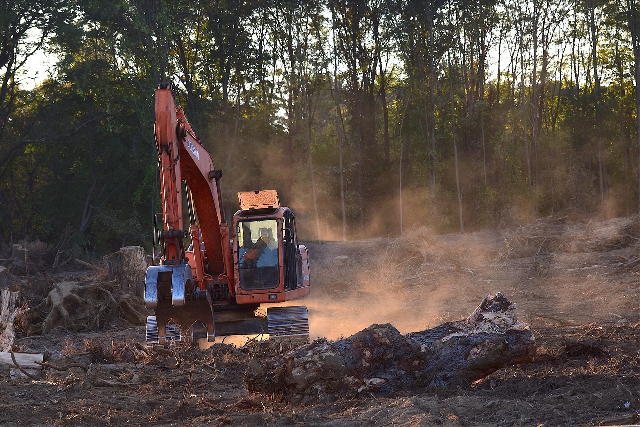 deforestation, machine, truck-2833688.jpg
